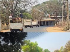 कामधेनु सेना ने पुलिस के हवाले किया मवेशी लोड पिकअप…