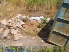 बोरो परिक्षेत्र में अवैध कारोबार का काला सच!… बीट व वनपरिक्षेत्र सहायक अधिकारी के कार्यशैली पर मिलीभगत का संदेह व सवाल?