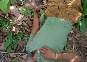 तेंदूपत्ता तोडऩे पेड़ पर चढ़ा ग्रामीण गिरा, मौके पर दर्दनाक मौत