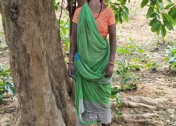 अज्ञात करण से महिला ने लगाई पेड़ पर फांसी, मामला धरमजयगढ़ थाना क्षेत्र का