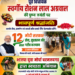 धरमजयगढ़ में स्वर्गीय रोशन लाल अग्रवाल की जयंती मनाई गई, भाजपा युवा मोर्चा ने चलाया स्वच्छता अभियान