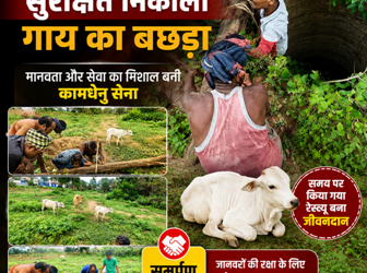 45 फीट गहरे कुएं से कामधेनु सेना ने सुरक्षित निकाला गाय का बछड़ा