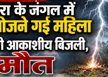 संगरा के जंगल में पुटू खोजने गई महिला पर गिरी आकाशीय बिजली, मौत