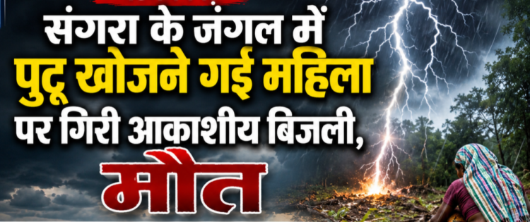 संगरा के जंगल में पुटू खोजने गई महिला पर गिरी आकाशीय बिजली, मौत