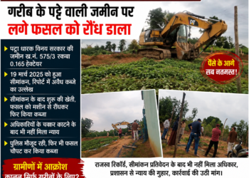 गरीब के पट्टे की जमीन पर फसल रौंधकर कब्जे का आरोप, रसूखदारों के आगे कानून बेबस?
