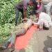 सरिया नाला में समाया ट्रक, अंदर फंसा था चालक… भारी मशक्कत के बाद पुलिस ने बरामद किया शव, क्रेन और रायगढ़ से आए गोताखोरों की मदद से चला रेस्क्यू अभियान