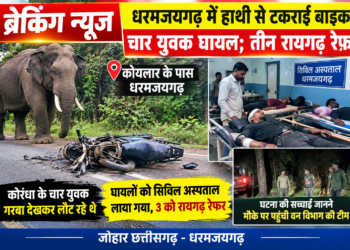 ब्रेकिंग न्यूज: धरमजयगढ़ में हाथी से टकराई बाइक, चार युवक घायल; तीन रायगढ़ रेफर